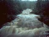 Flooding!
