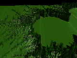 Forest view