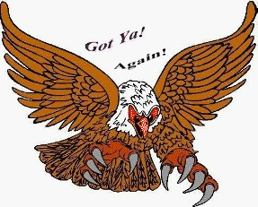 A picture of an Eagle