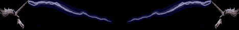 bravebanner
