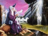 wizards