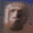 Check Out The Ultimate UFOLOGISTS