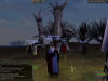 Killing Witherwoodes in Lyonesse... trees...