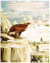 Bird2_tolkien.jpg (62883 bytes)
