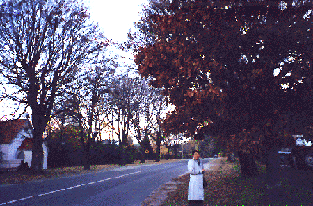 Acorn.gif (85748 bytes)
