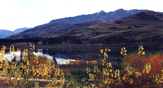 Cathsq.gif (94408 bytes)