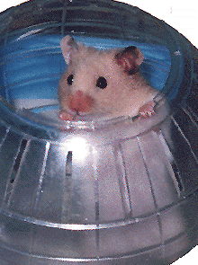 Speck2.gif (45141 bytes)