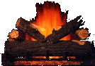 Logfire.gif