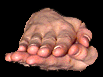 Paper