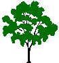 Árbol