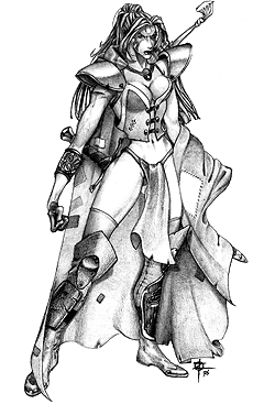 This is a Picture of The Rogue