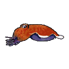 cuttle1.gif (19449 bytes)