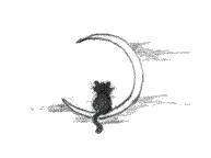 cat in moon