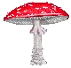 Shroom
