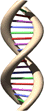 03.gif (25605 bytes)