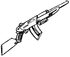 SN-21P Plasma Incendiary Rifle