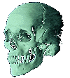 Vale of Temp