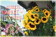 Pike Street Market Photo