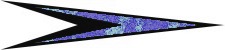 Next Image