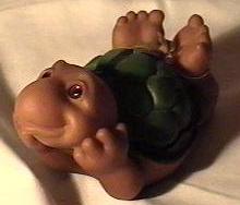 Turt
le