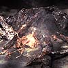 grail.jpg (5103 bytes)