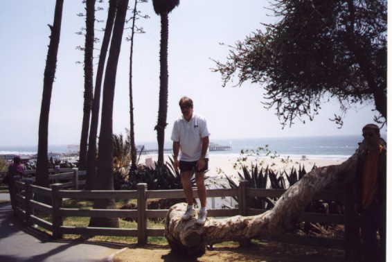 Overlooking the Pacific and the Santa Monica Pier