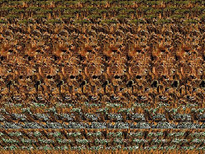 120KB