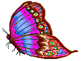 but8.gif (5793 bytes)