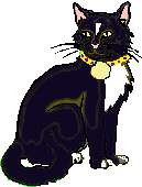 cat4you.gif (6157 bytes)