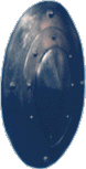 shield.gif (7310 bytes)