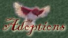 Come see some of my adoptees!