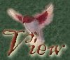 View the entries