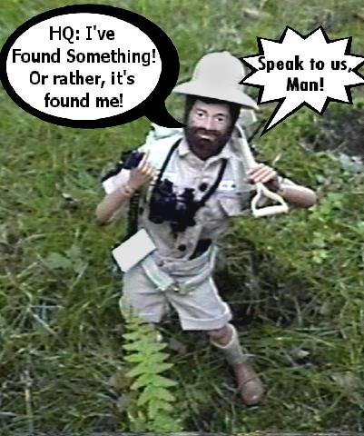 A Discovery