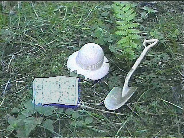 Not Much Left Behind