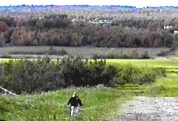 Bob Overlooks the Orchard