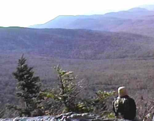 Looking over the Valley