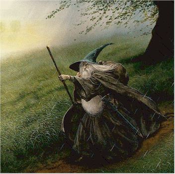 gandalf cropped.jpg (32065 bytes)