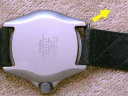 Removing the springbar