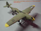 Drone2.JPG (33157 bytes)