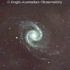 The Seyfert Galaxy