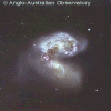 The galaxies of the Antennae