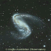 A barred spiral galaxy in Volans