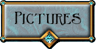 The Picture Pages