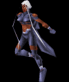 qstorm.gif (11478 bytes)