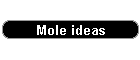 Mole ideas