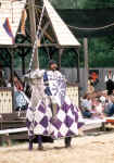 knight1.jpg (116061 bytes)