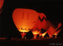 Glow.JPG (71276 bytes)