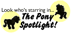 The Pony Spotlight