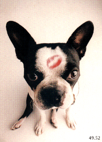 Don't You Kiss Me