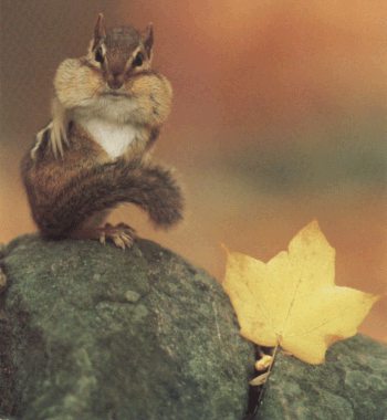 You make me go nuts